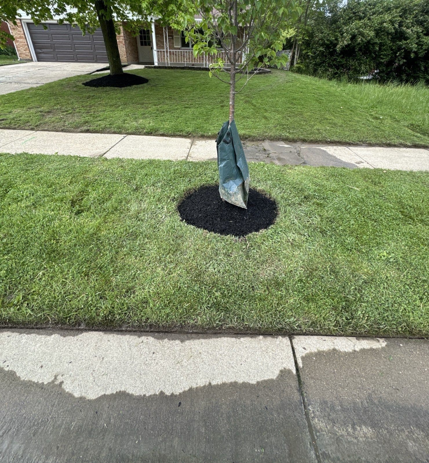 Project Enhanced Lawn Beauty in Fairfield Ohio image