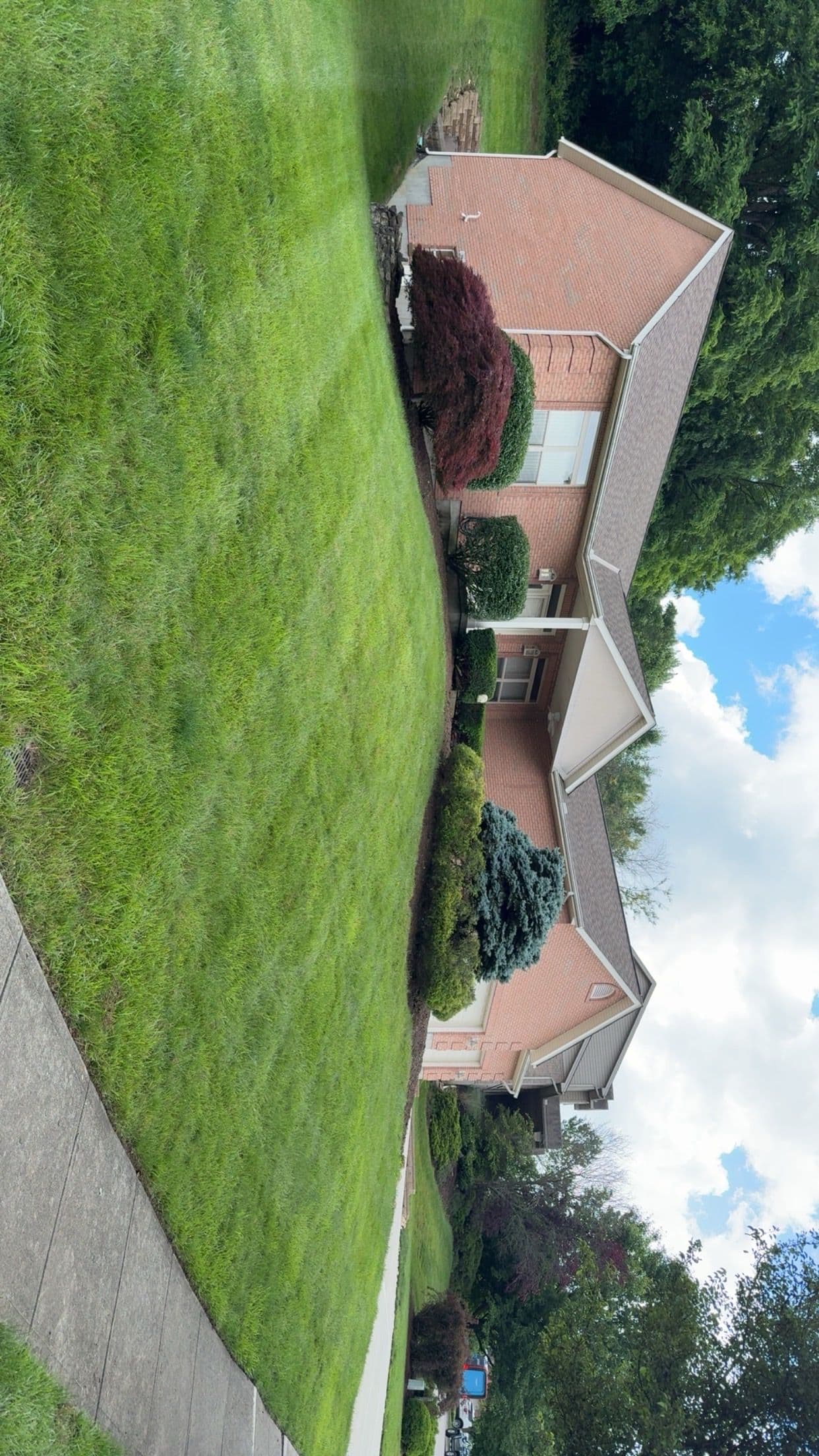 Top-Quality Lawn and Pruning Service in Monastery