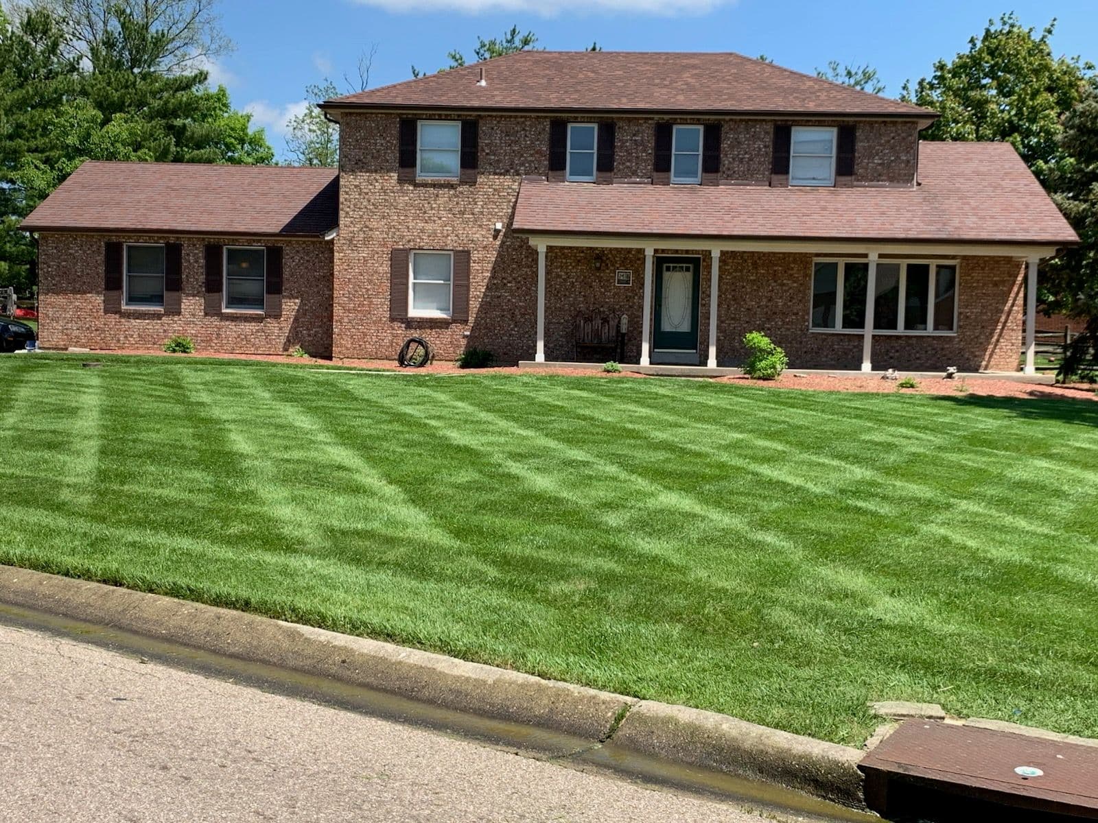 Project Transform Your Lawn with Pristine Care image