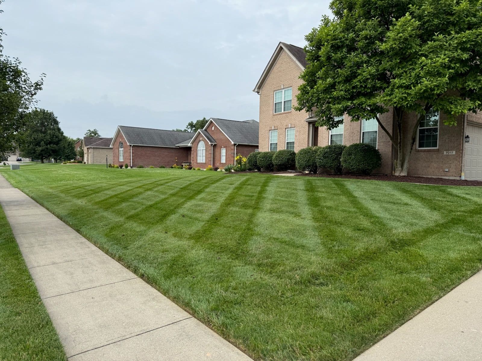 Elevate Your Lawn Aesthetic with Precision