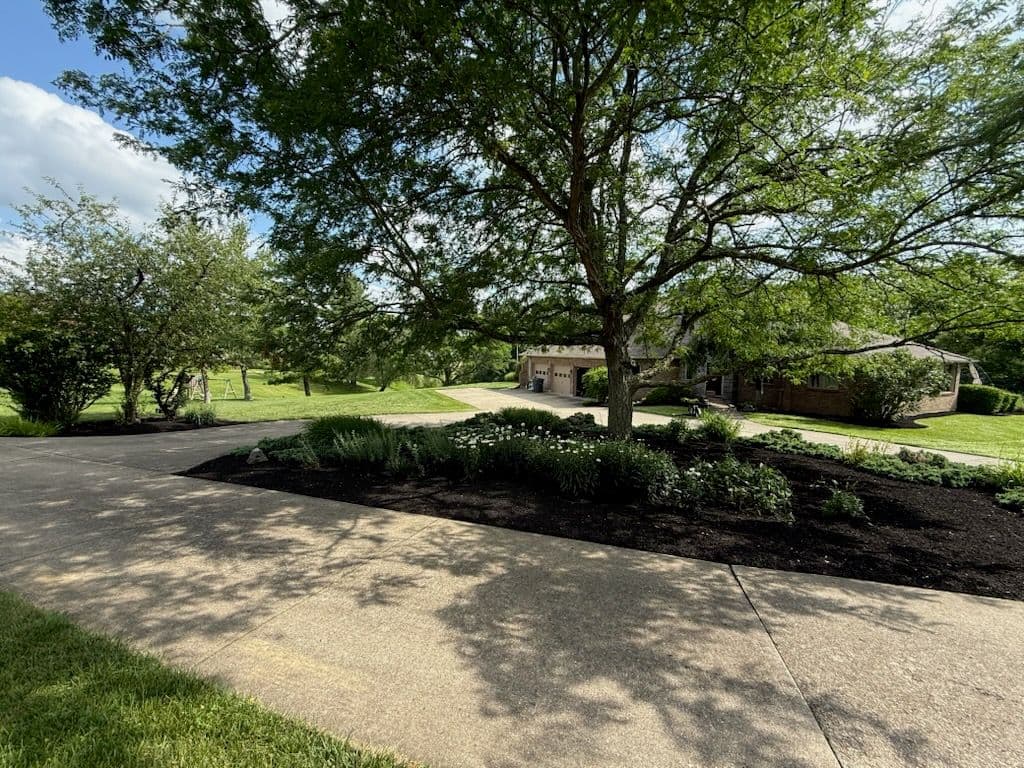 Project Serene Landscape Transformation in a Tranquil Setting image